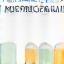 Logo BioPlus Technologies